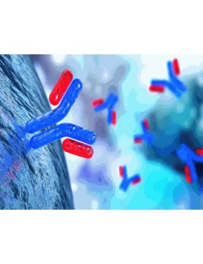 Fragment F(ab')2 anti-IgG...