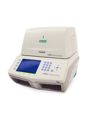 CFX96 Real-Time PCR