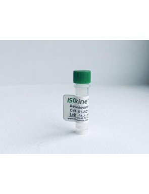 Interleukine-2 humaine recombinante