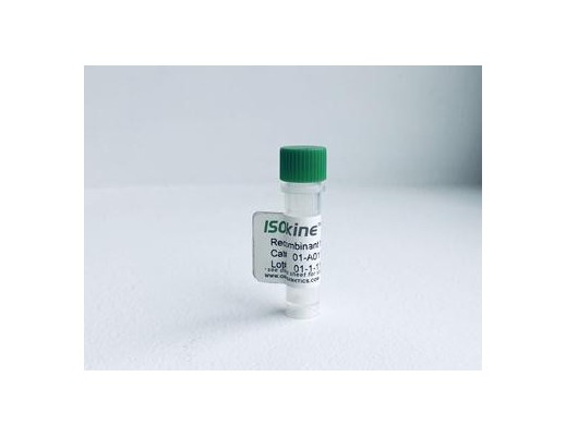 Interleukine-2 humaine recombinante