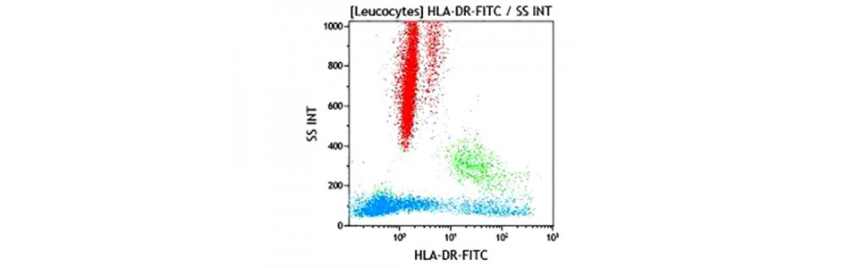 Recherche d'anticorps anti HLA par Cytométrie de Flux