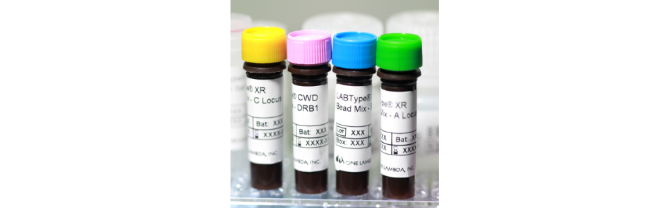 LABType CWD et XR