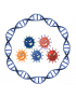 PCR Multiplexe