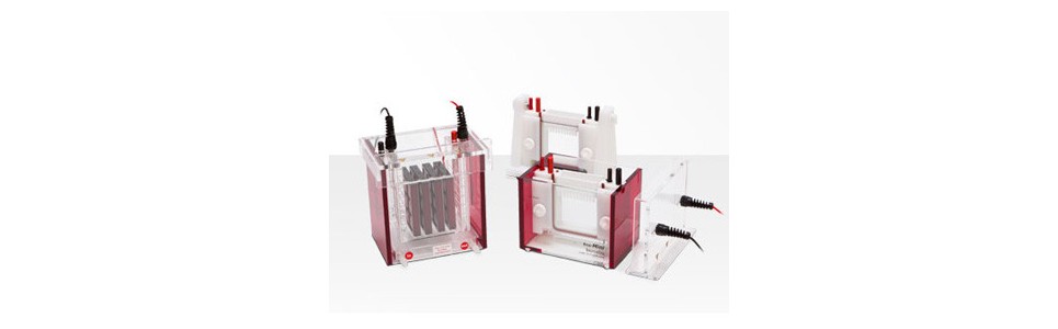 Biometra Eco-Mini
