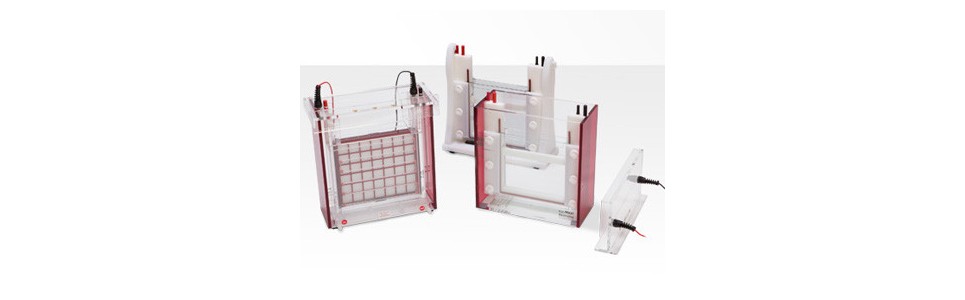 Biometra Eco-Maxi