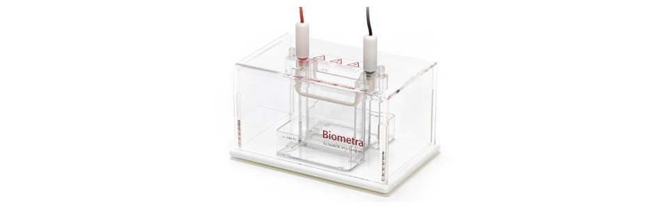 Biometra Minigel-Twin