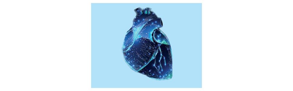 Marqueurs cardiaques