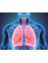 Maladies respiratoires