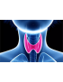 Thyroidites autoimmunes